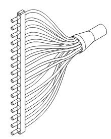 Fluid image